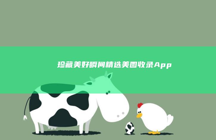 珍藏美好瞬间：精选美图收录App